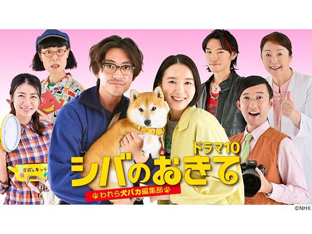 柴犬好きな人