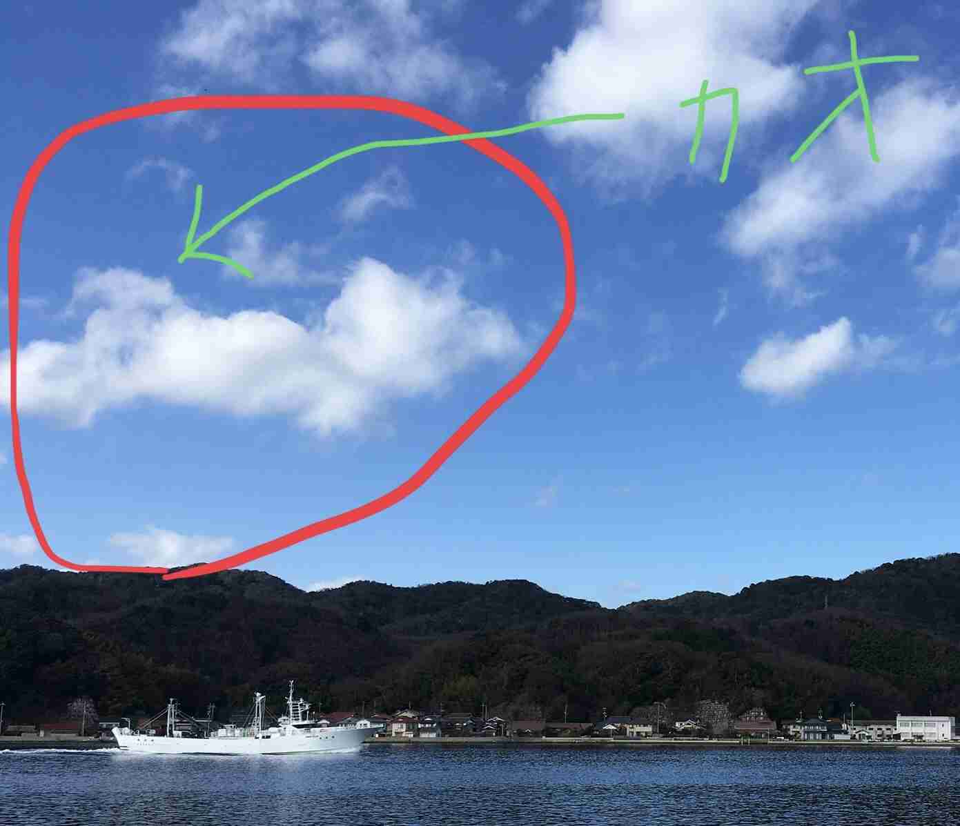 ペットや動物に関する不思議な話