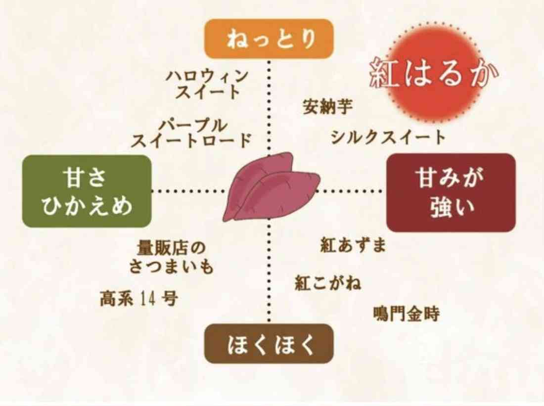 【安納芋】【鳴門金時】さつまいも好きですか【シルクスイート】【紅あずま】