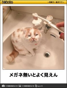 視力が悪くなってツラい