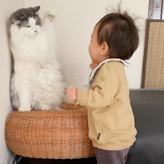 すぐ拗ねる人