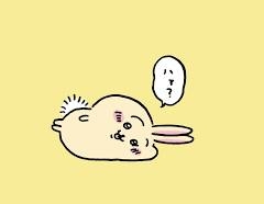 通っぽい海外旅行の行き先