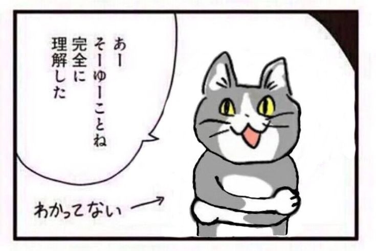 自分の無知をさらけだすトピ