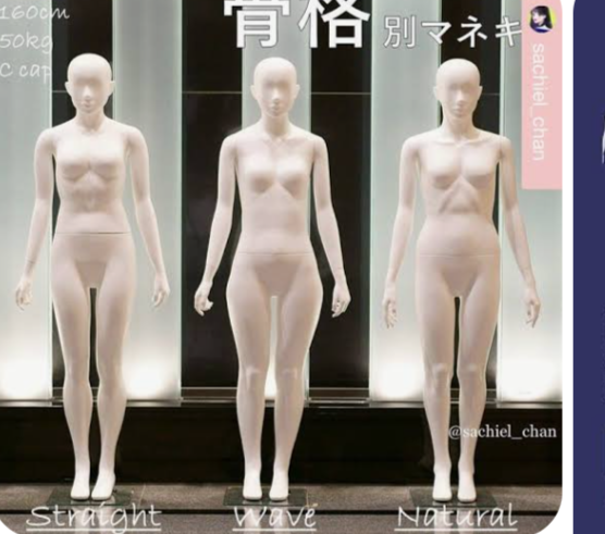 骨格ストレートの嘆き