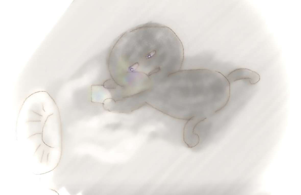 今の自分を描いてから寝てくれ