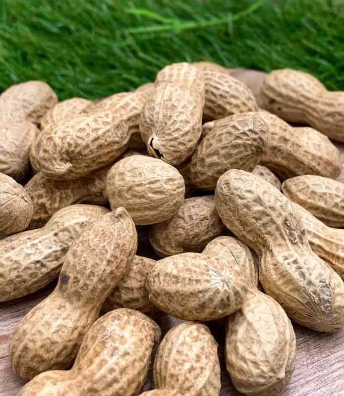 子供の頃、家に常備されていたお菓子
