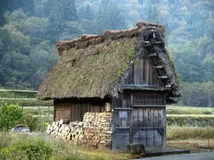 貧乏な家庭で育った人