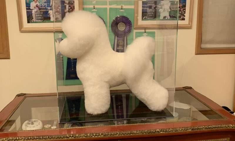 ごくごく一部の人だけがわかる画像