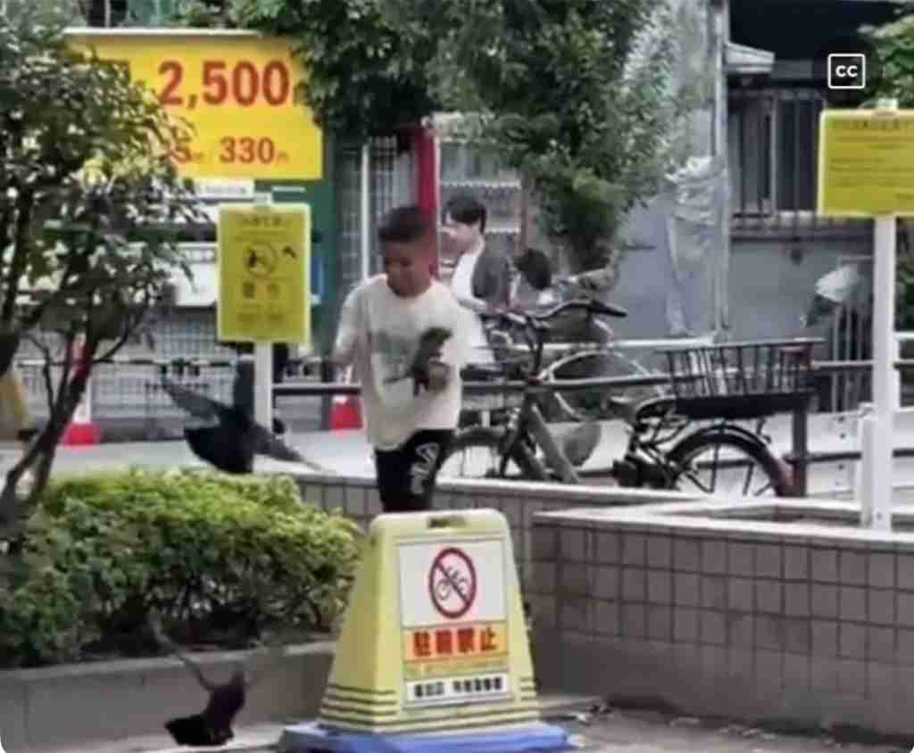 ごくごく一部の人だけがわかる画像