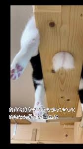 心にポッカリと穴が空いたような気持ち