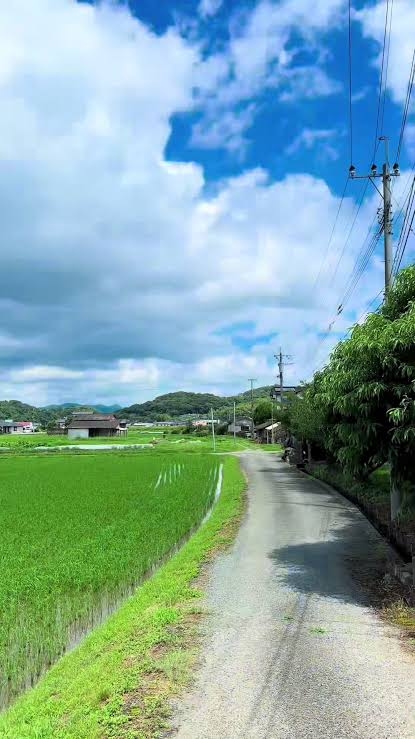 本当の田舎にいる人にしか分からないこと