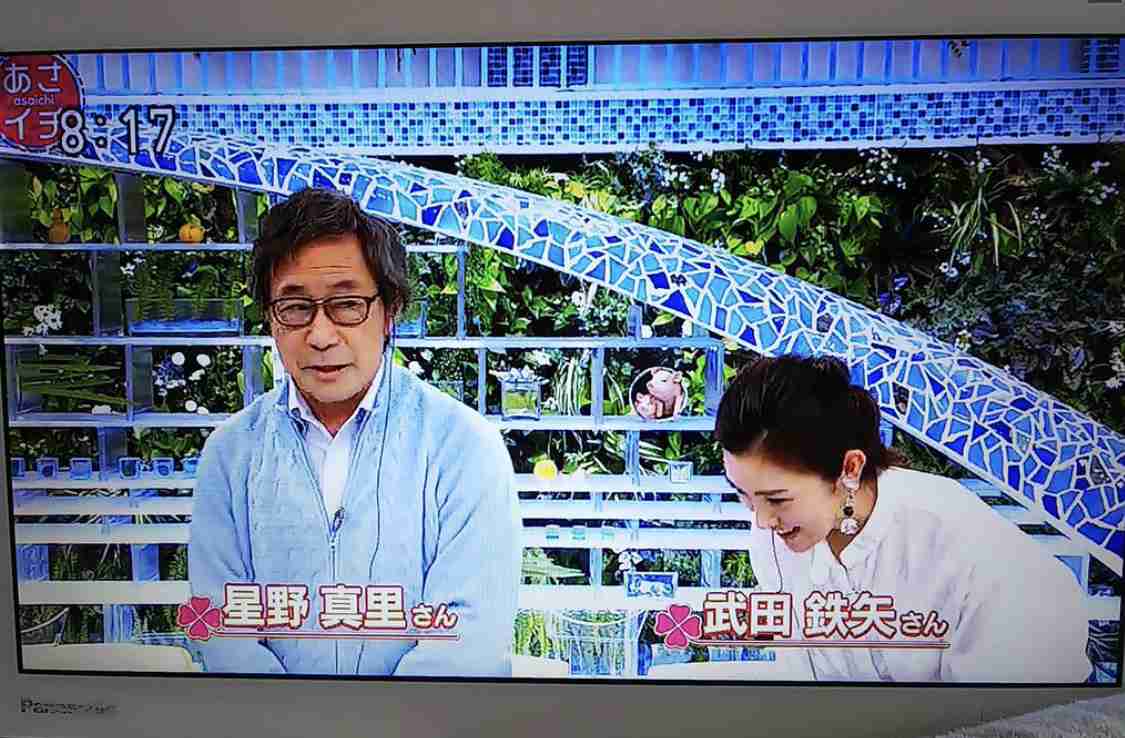 【女優】星野真里さんを語ろうPart2【アンチ禁止】
