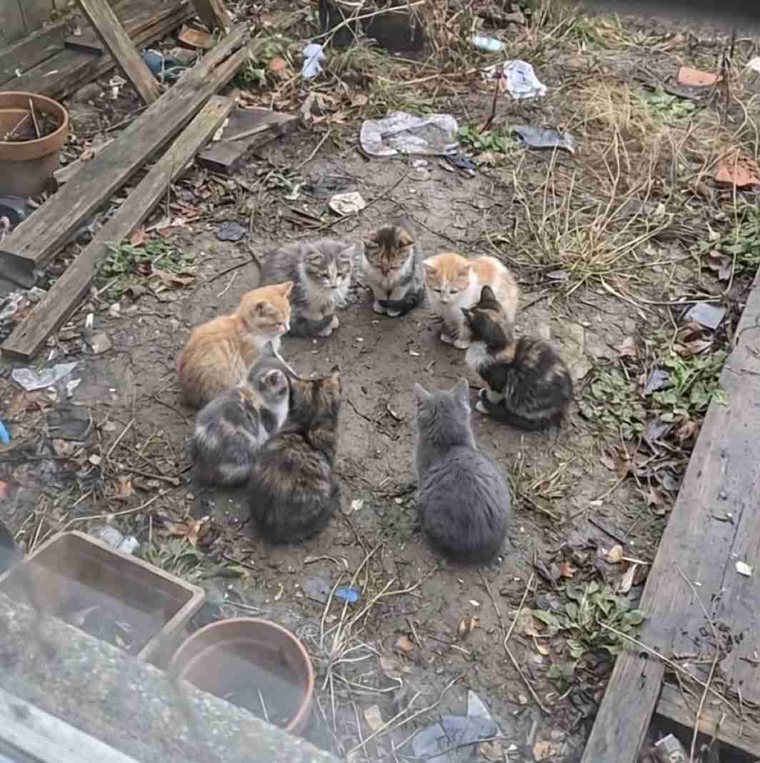 いろんな集合写真を貼っていくトピ