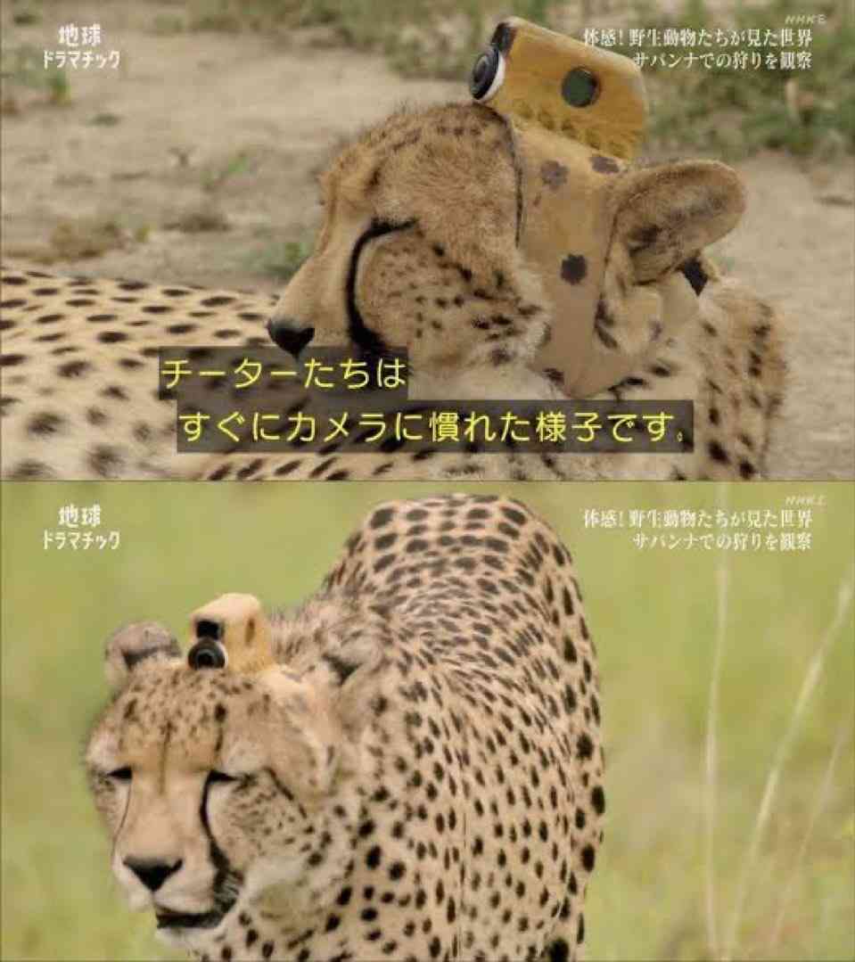 【悲しい】自分の真顔がとても悲しそう