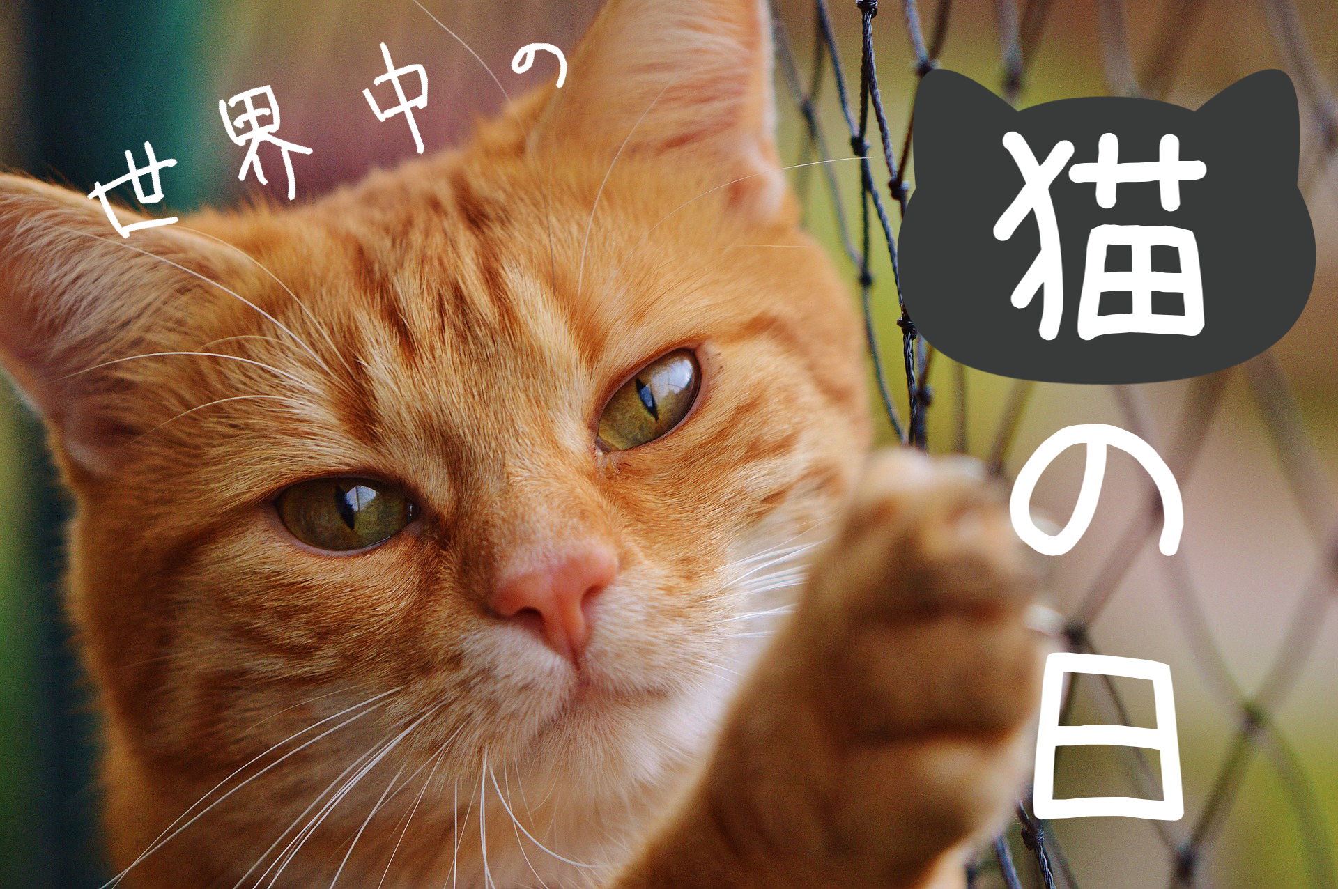 令和8年8月8日　どう過ごしますか？