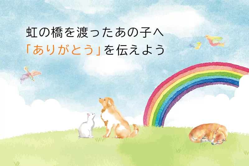お盆。亡くなった人やペットとの思い出を語りませんか?