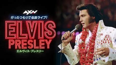 好きなアメリカのミュージシャン