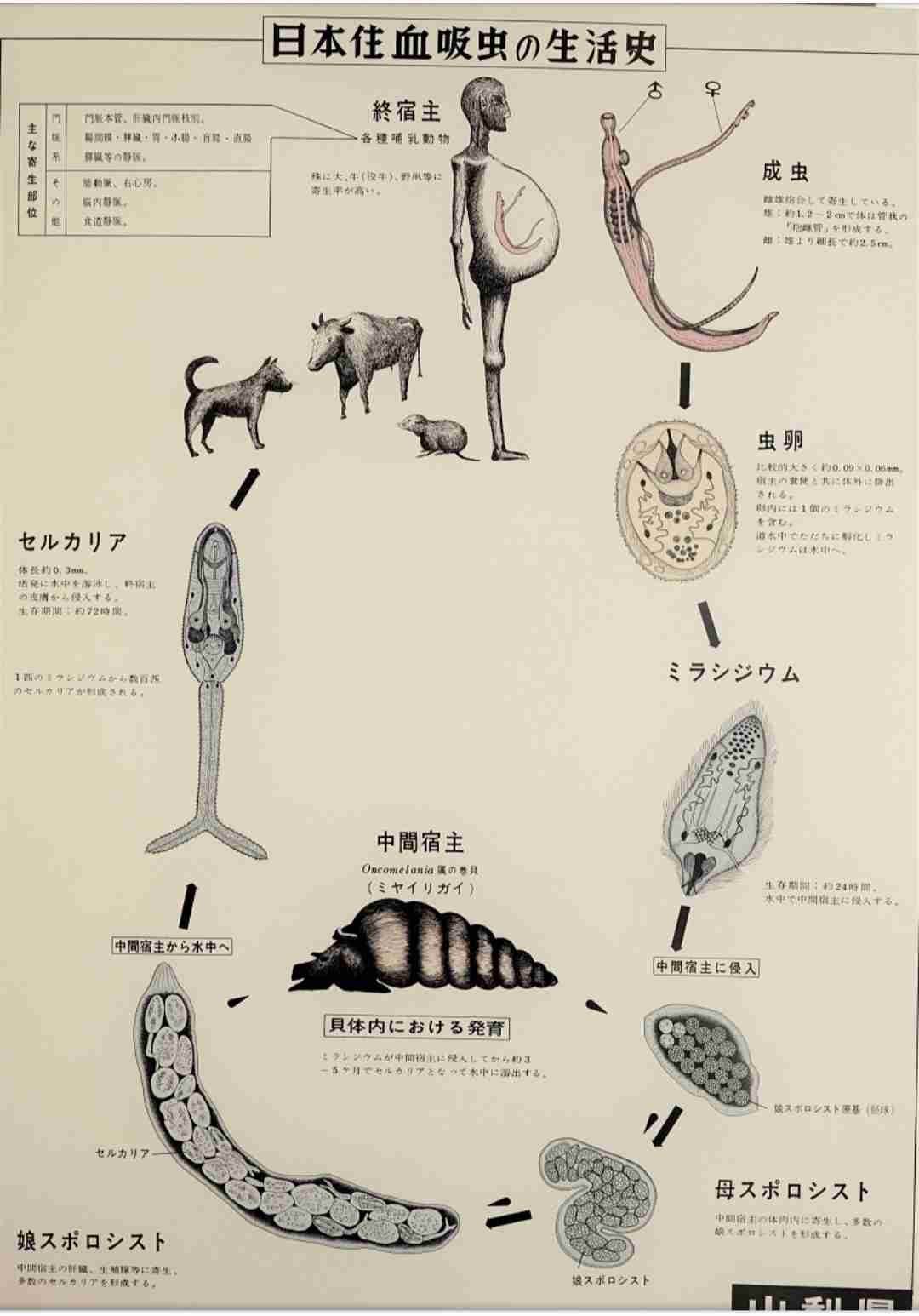 うっすら怖いと思う絵画を貼るトピ