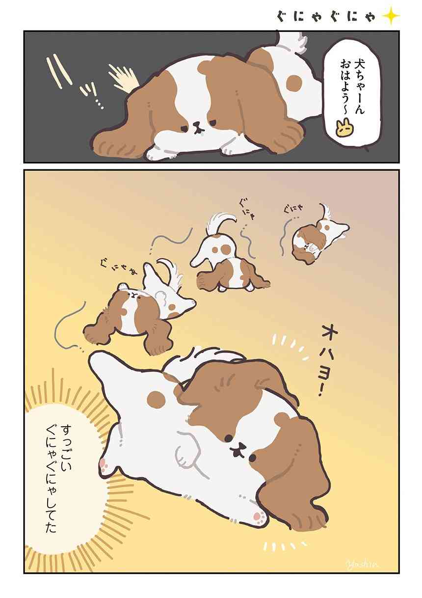 可愛くて好きなもの