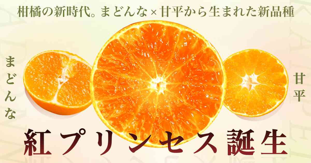 【雑談】愛媛県民で語りたい【情報交換】