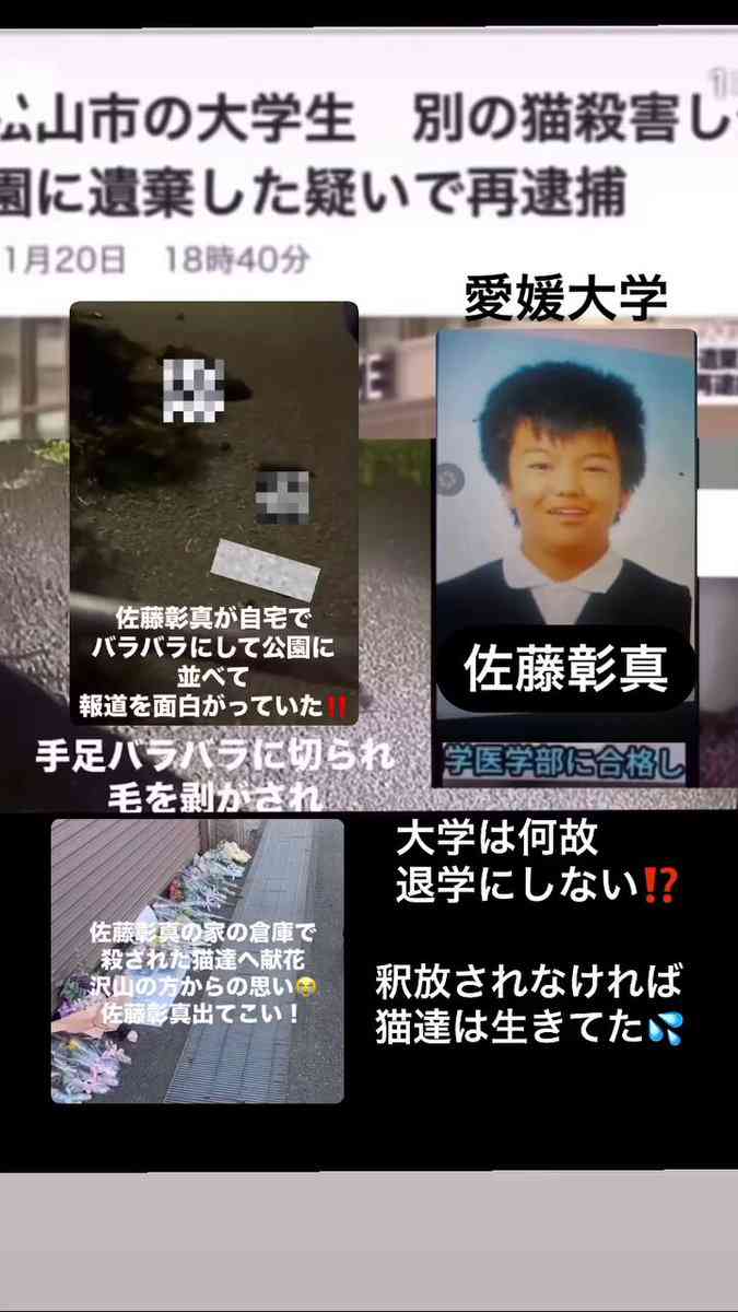 【雑談】愛媛県民で語りたい【情報交換】