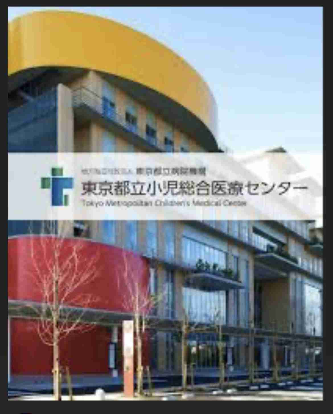 「好き好んで満員電車に乗りたい人はいない」ベビーカー論争が繰り返されるワケは?子育て世帯がマイノリティ化する日本社会の“選択肢のなさ”