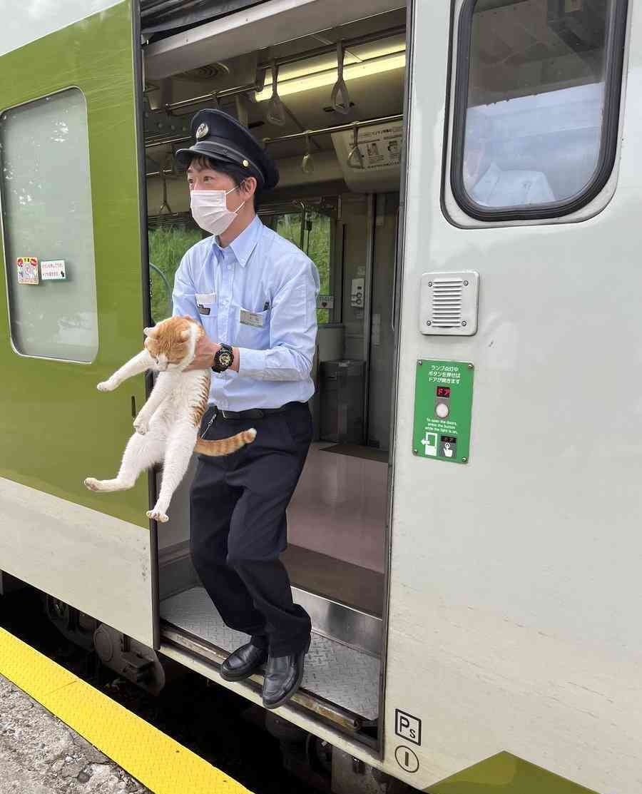ダメだろうと思ってやってみて、やっぱりダメだったこと