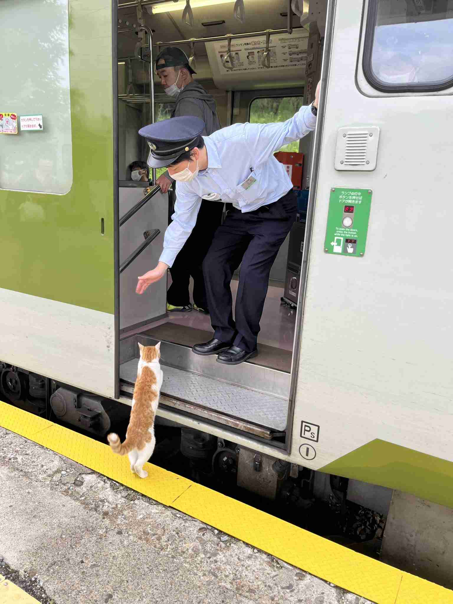 ダメだろうと思ってやってみて、やっぱりダメだったこと