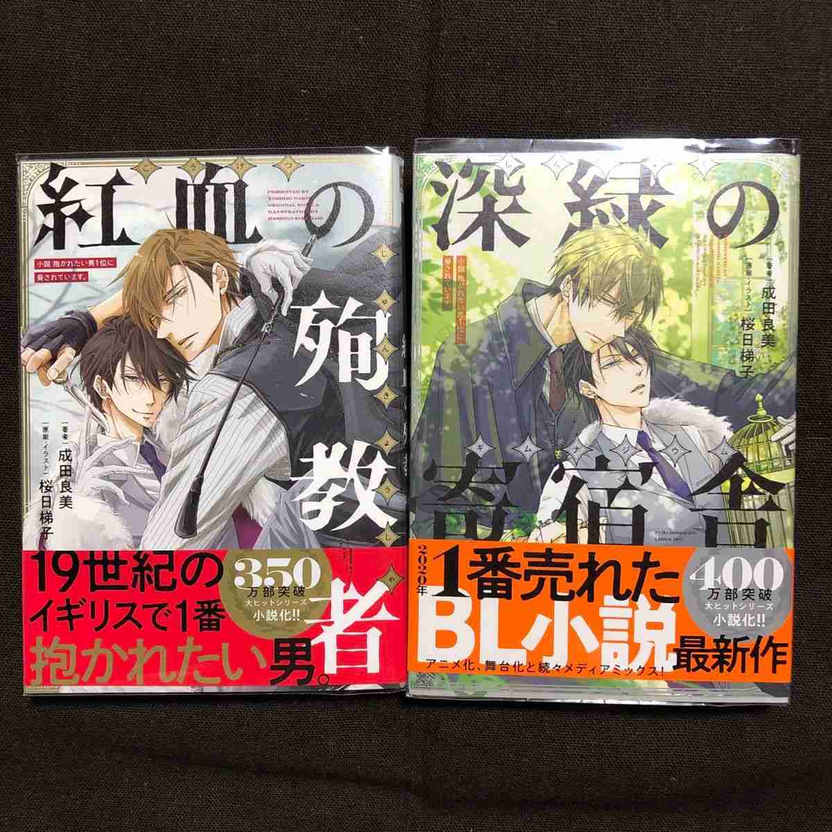 この小説を読んだことがあったらプラスpart2