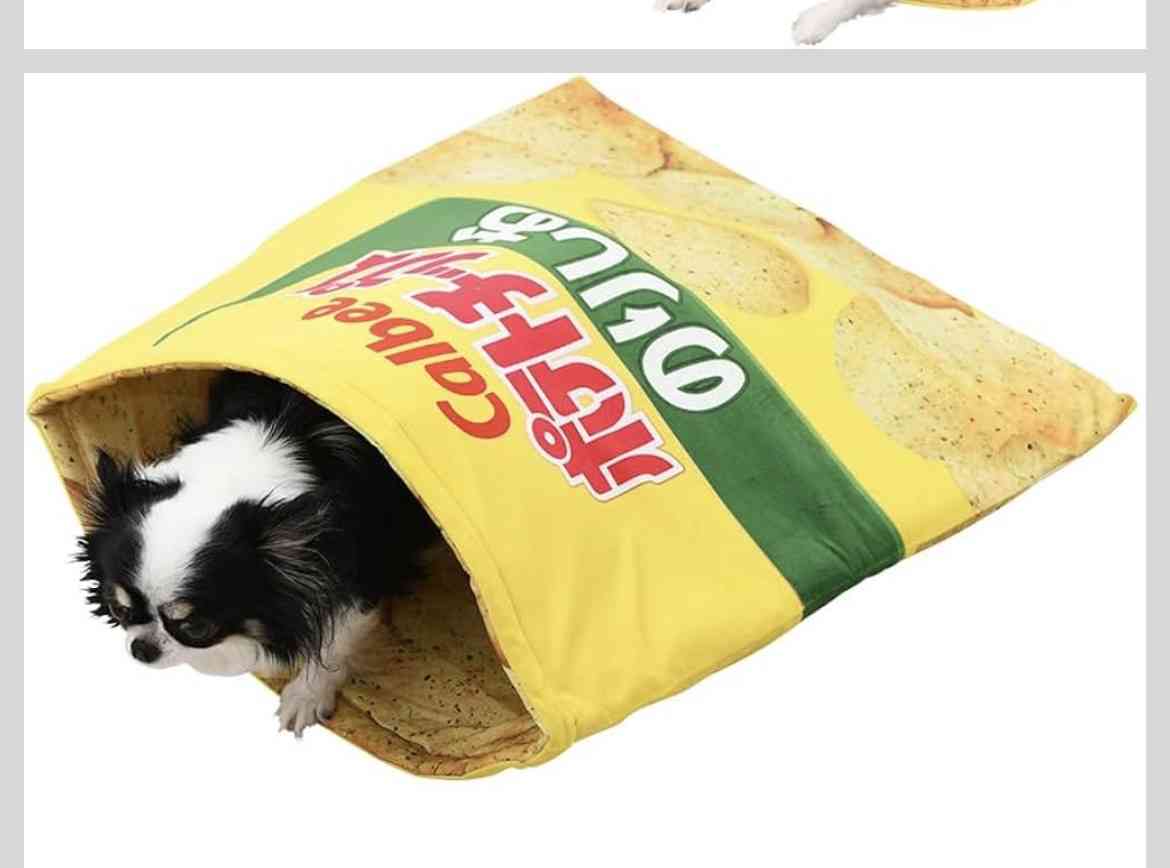 猫好きな人へプレゼント