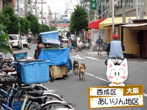 日本で行ってはいけない場所