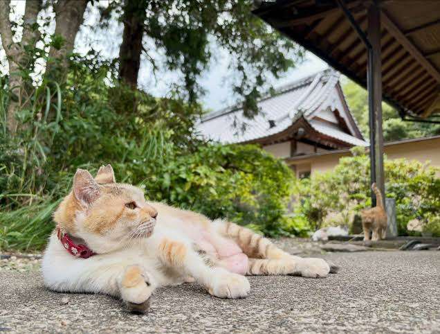 息抜きやリフレッシュがいらないタイプの子持ちの方