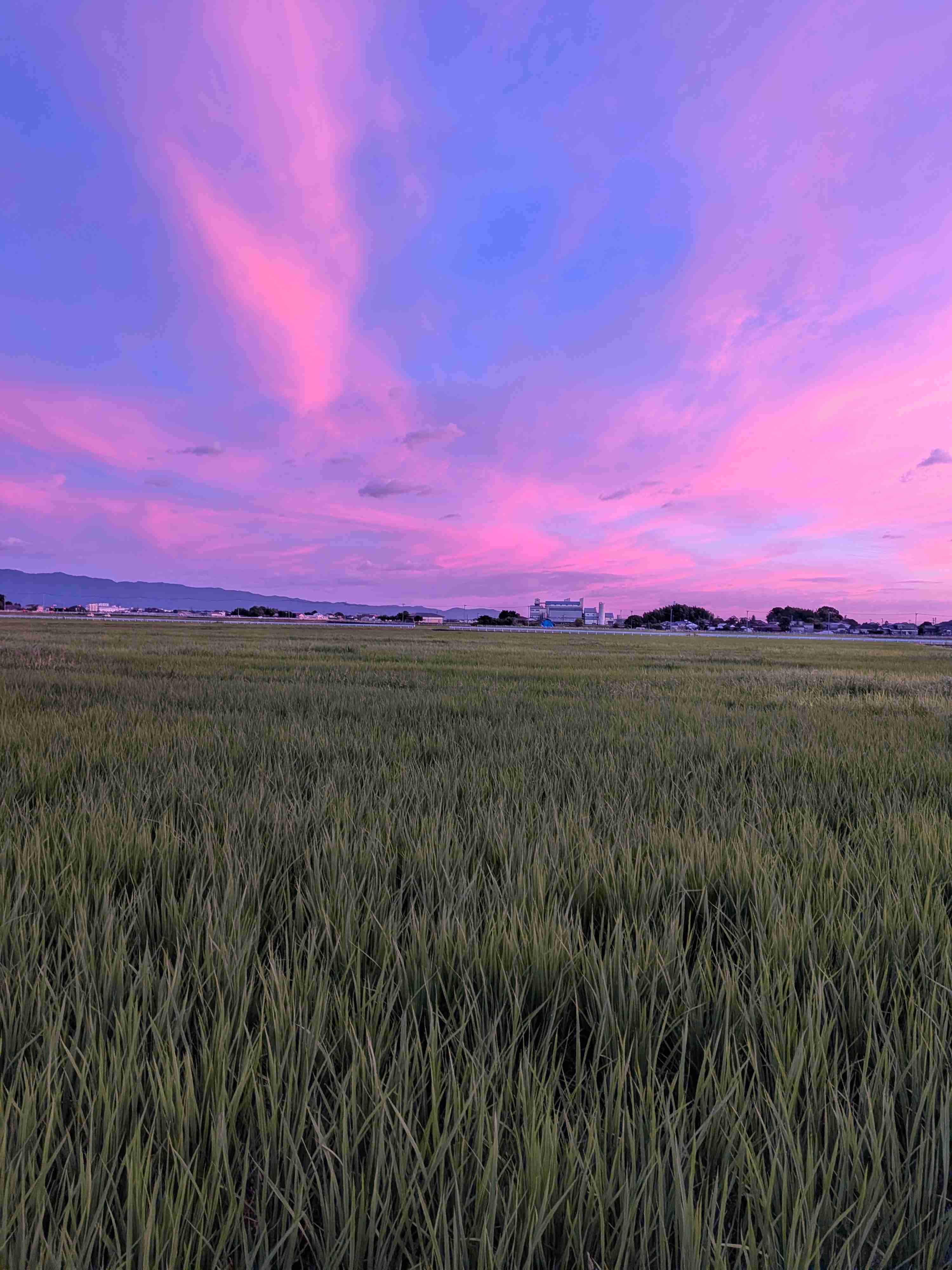 田舎の景色と都会の景色