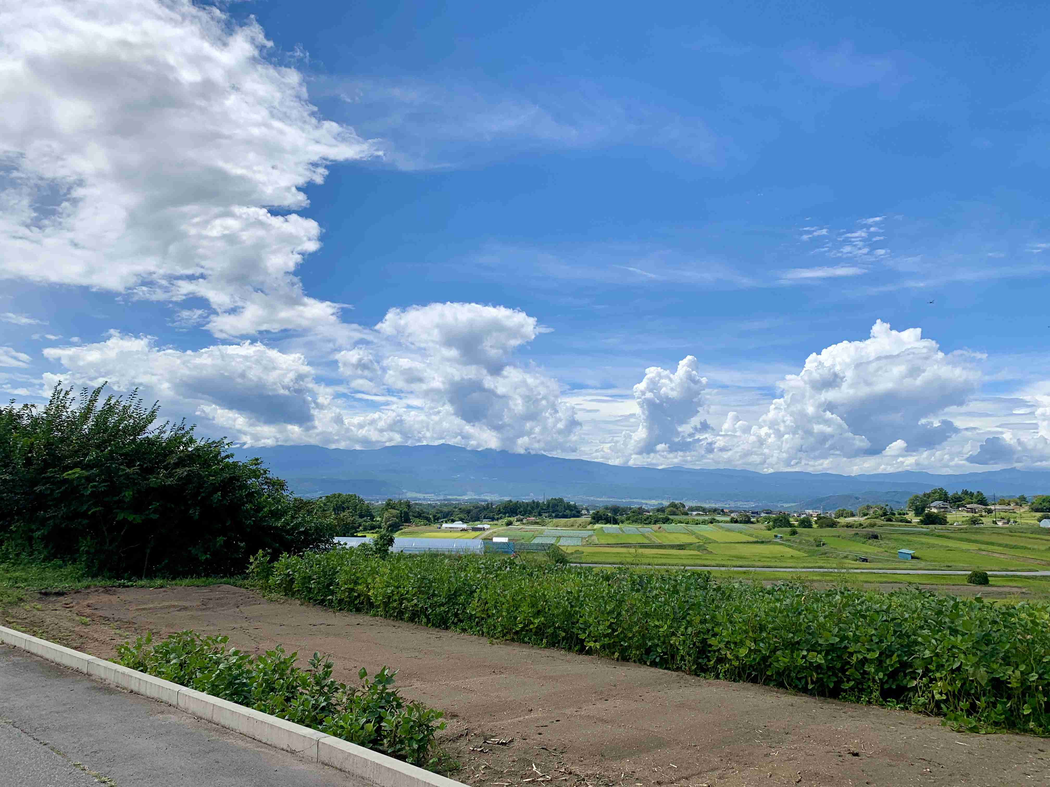 田舎の景色と都会の景色