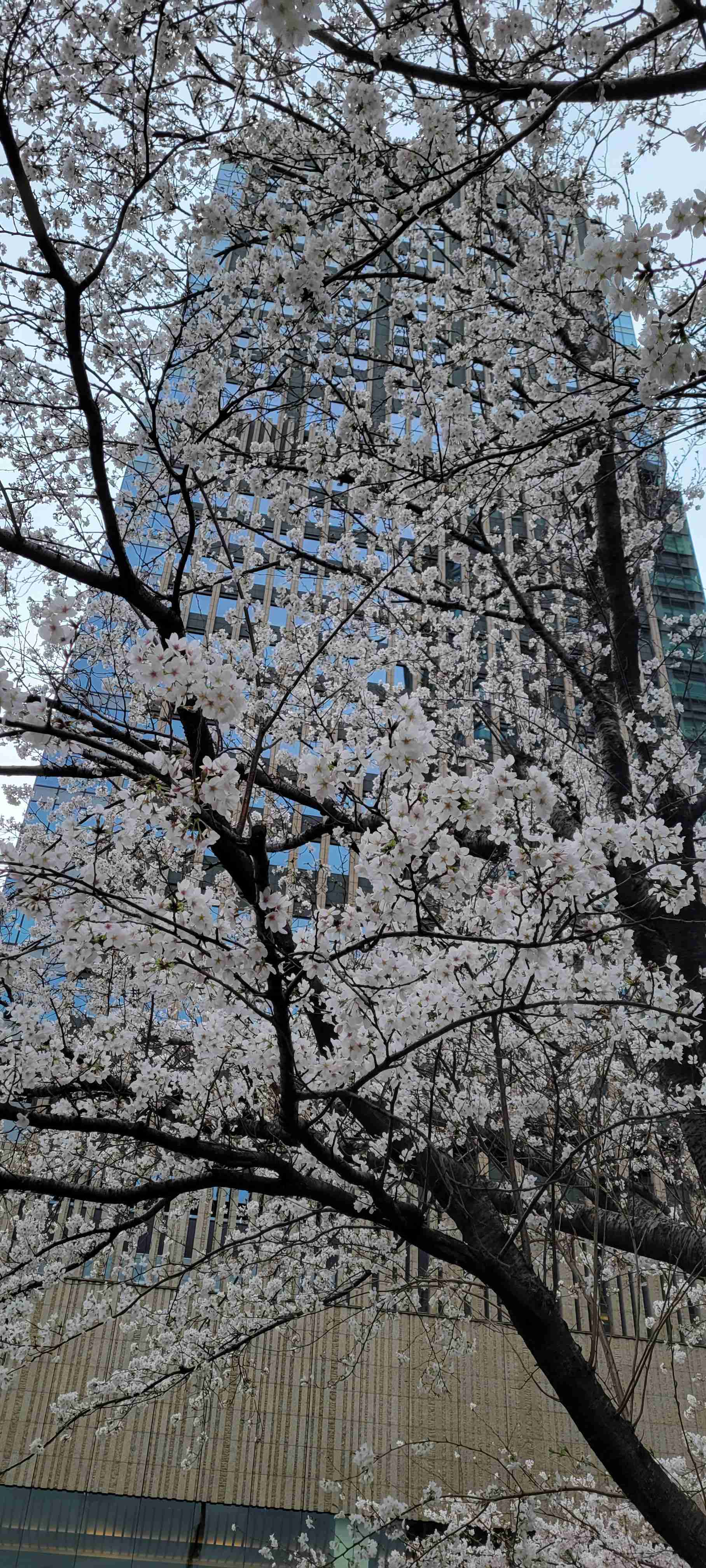 田舎の景色と都会の景色