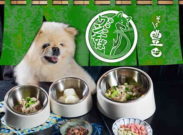体重45キロでわんこそば「755杯」の新記録…“一日一食”のシングルマザーが大食いタレントになったワケ