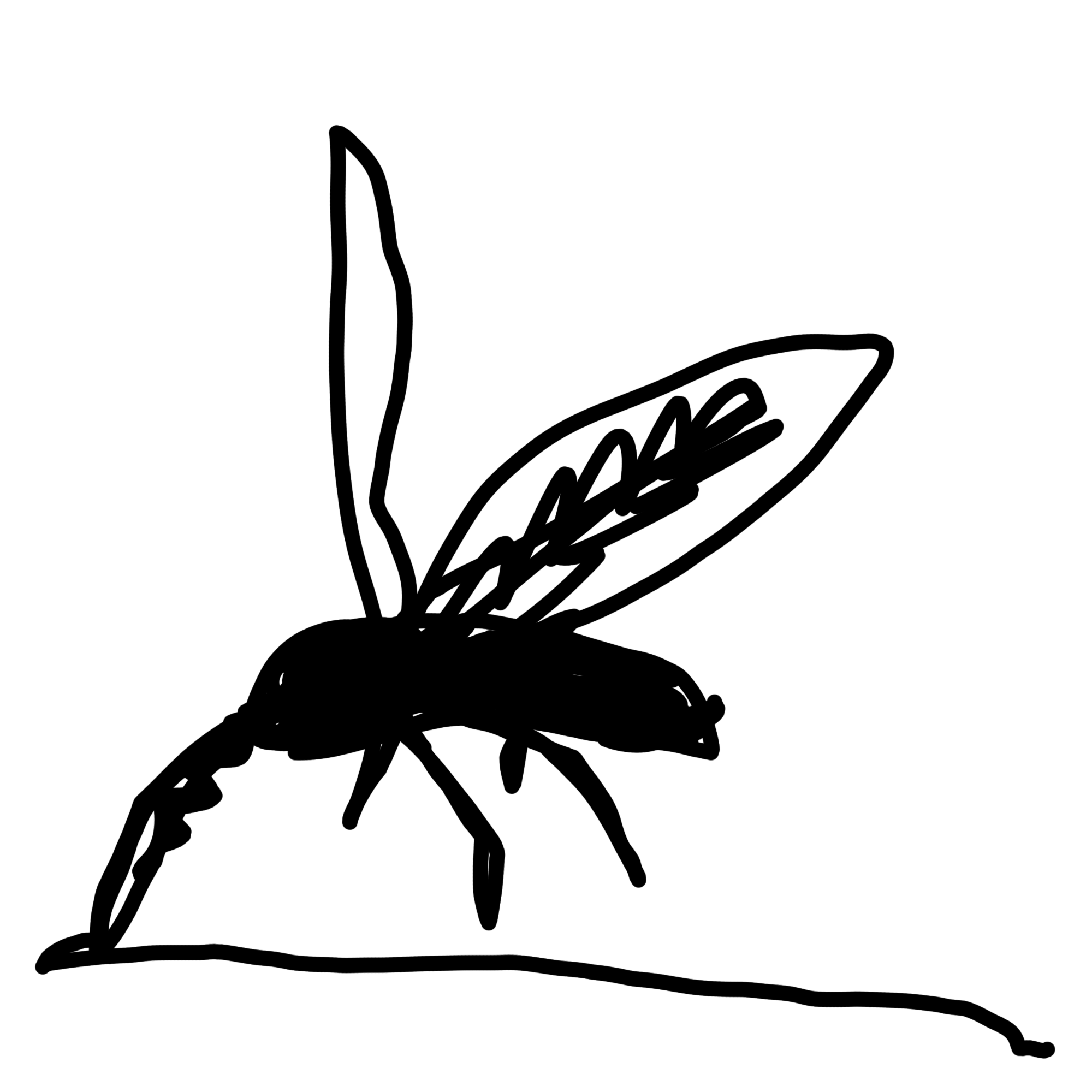 一筆書きトピ