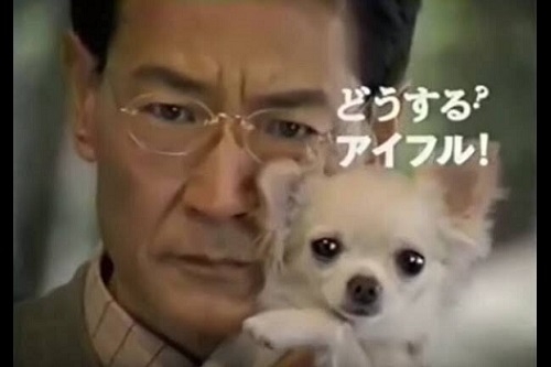 犬の好きな仕草