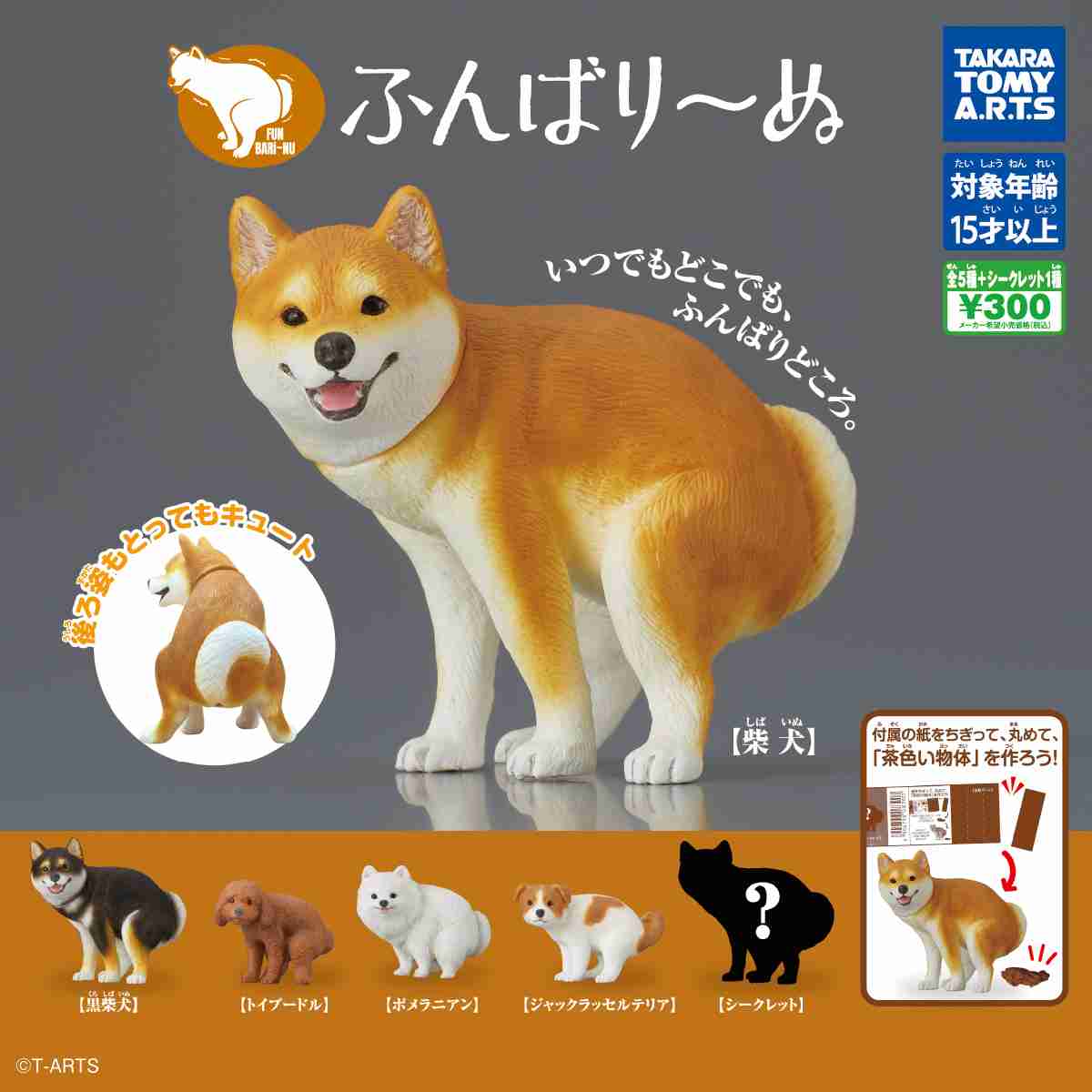 犬の好きな仕草