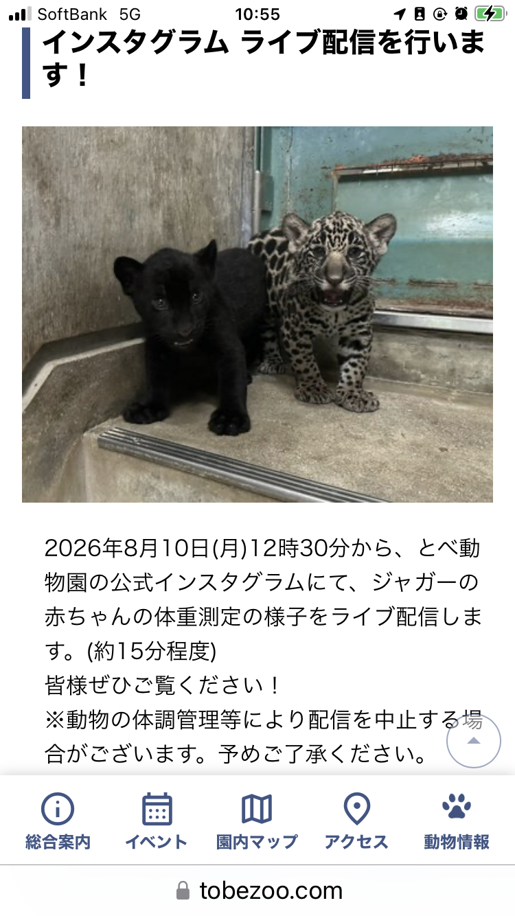 今猛烈に〇〇に行きたい人集合