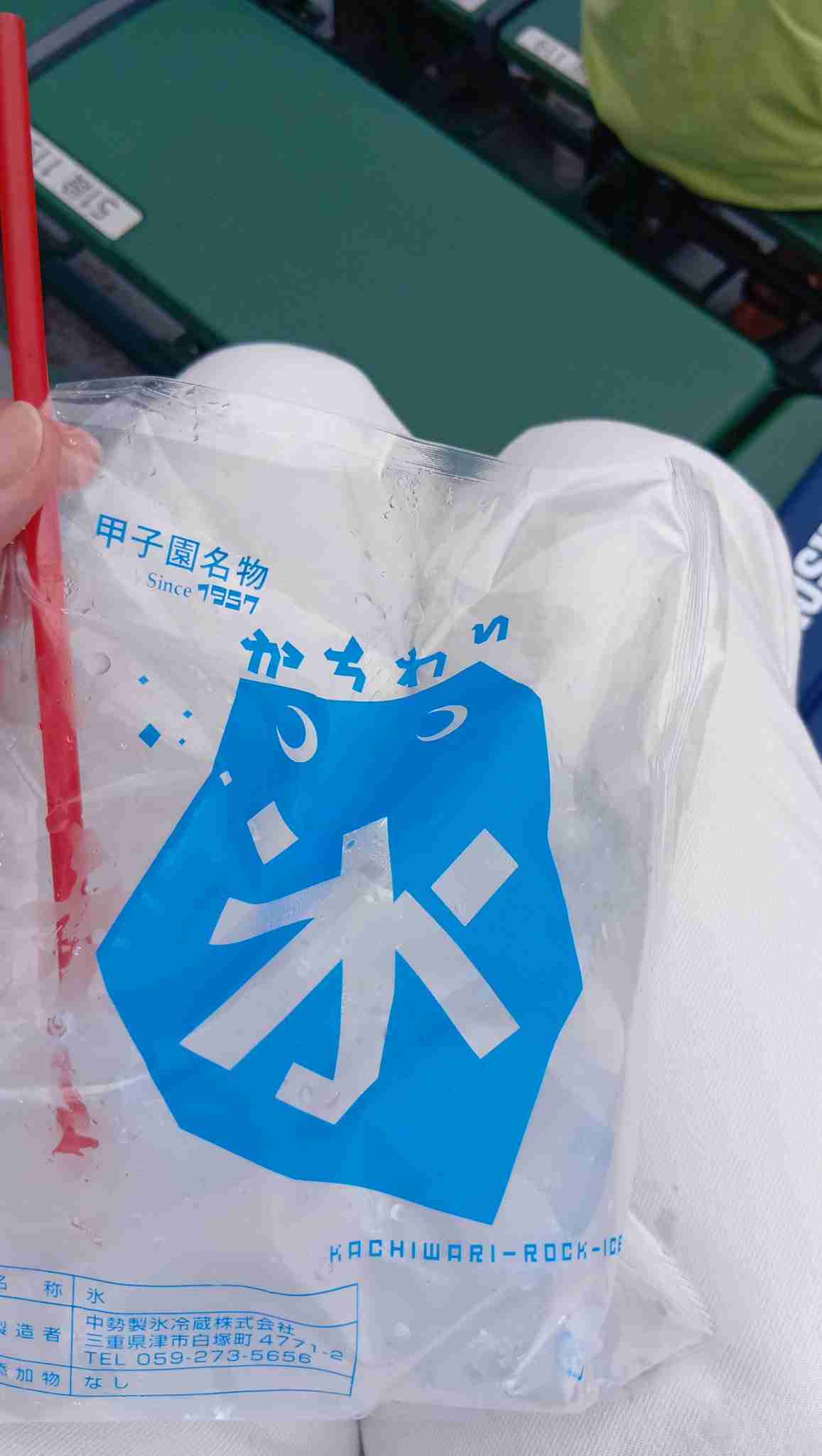 【実況・応援】第108回全国高校野球選手権大会　13日目・準々決勝