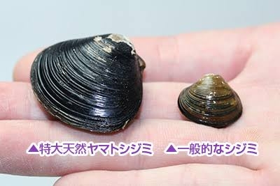 食べる時に美味しさより面倒くささが勝つ物