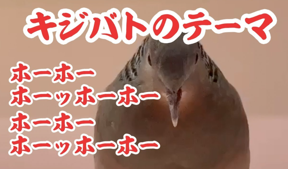 誘いに返事がない時