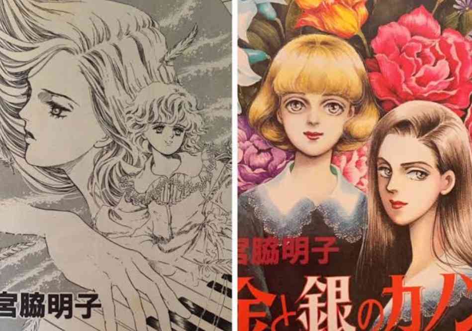 【漫画・アニメ】2大ヒロイン好きな方
