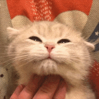 自慢のペット見せて〜!