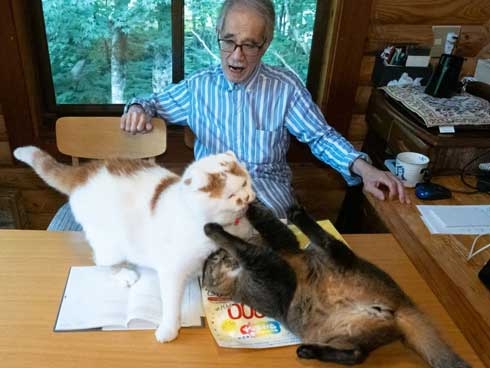 日常生活でアタフタする時ヽ(д｀ヽ彡ﾉ´д)ﾉ