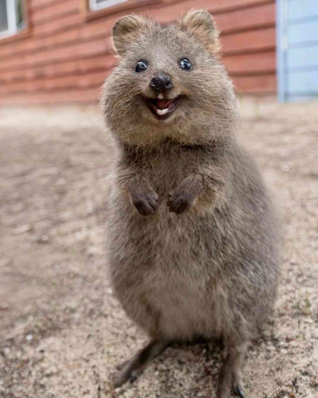 写真に写る時のキメ顔の練習
