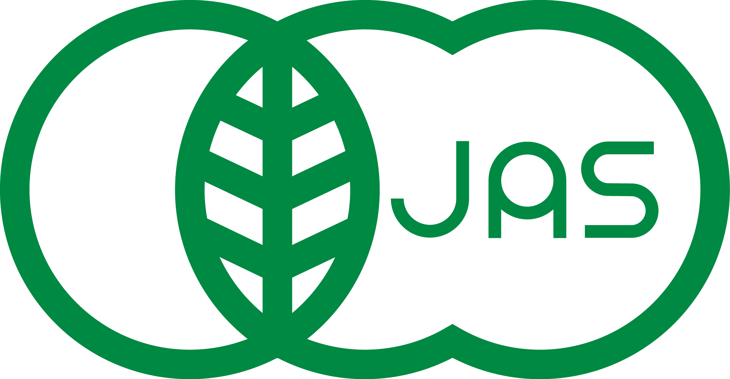 おすすめオリーブオイル