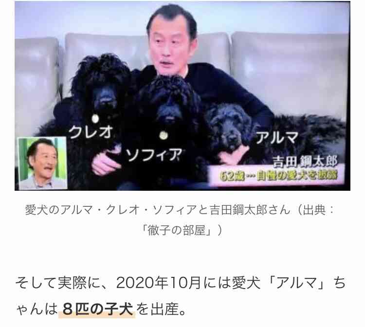 富裕層の「ペット離れ」が止まらない…「300万円の血統書付き犬は時代遅れ」という真のお金持ちが