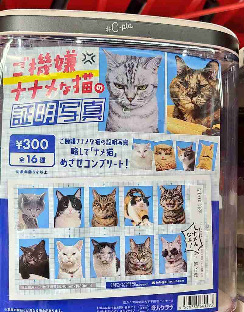 3人に1人がスマホ裏に『証明写真』を入れている!?　Z世代に流行の